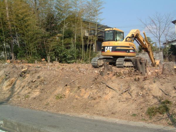 dscf0001.jpg (62722 �o�C�g)