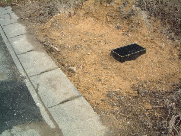 dscf0005.jpg (71011 �o�C�g)