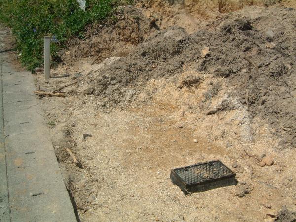 dscf0010.jpg (75505 �o�C�g)