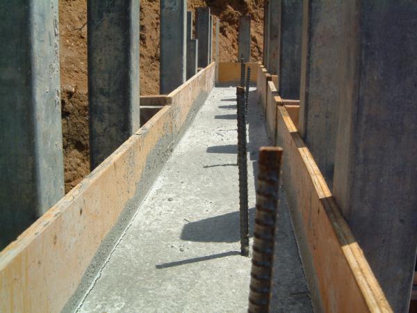 dscf0024.jpg (44108 �o�C�g)