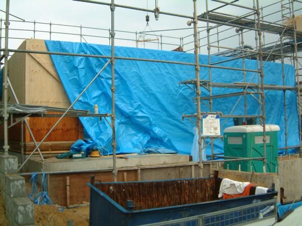 dscf0095.jpg (55970 �o�C�g)