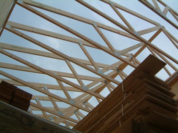 dscf0111.jpg (46547 バイト)