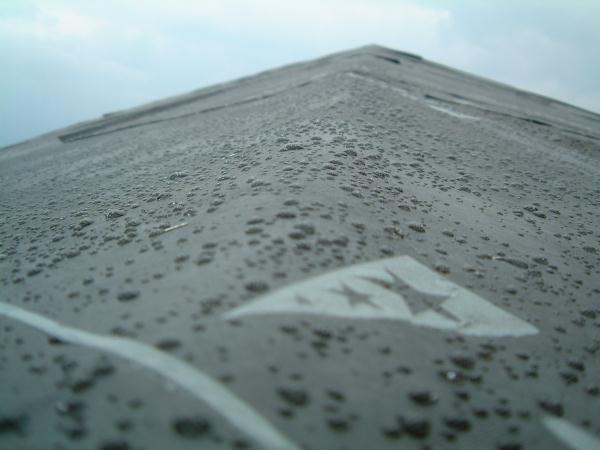 dscf0126.jpg (30114 バイト)