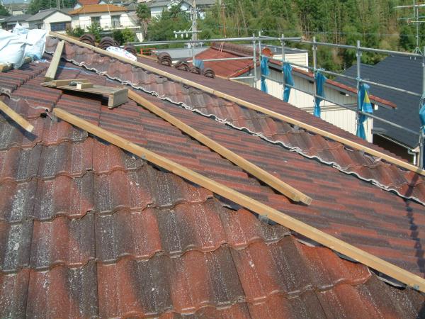 dscf0153.jpg (65836 バイト)