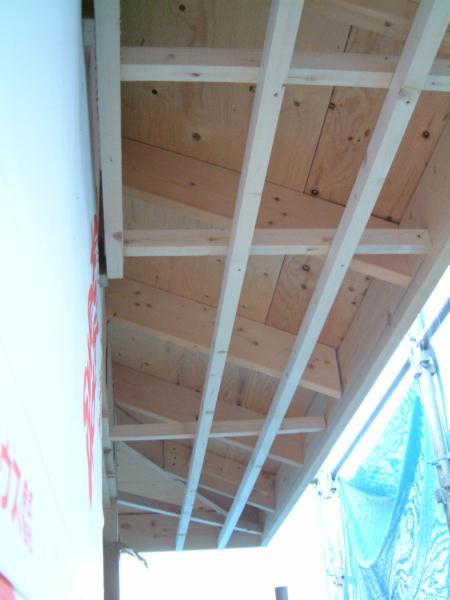 dscf0177.jpg (31275 バイト)